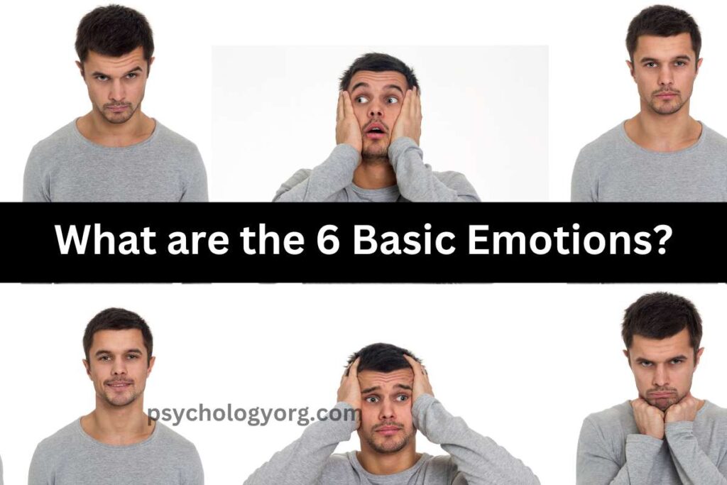 The 6 basic emotions of Ekman