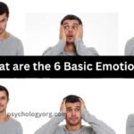 The 6 Basic Emotions
