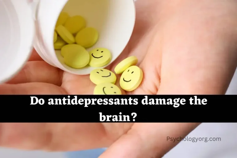 How Do antidepressants damage the brain?