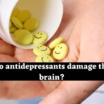 Do antidepressants damage the brain?