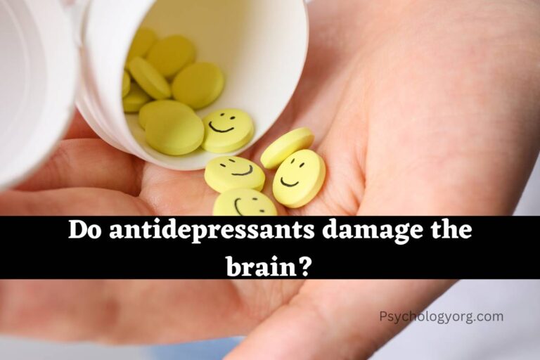 Do antidepressants damage the brain? 2023