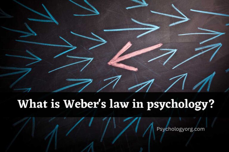 What is Weber’s law in psychology? Explained