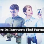 Where Do Introverts Find Partners?