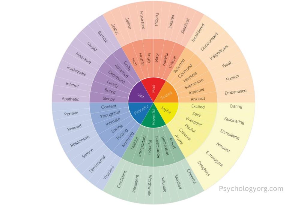 Primary emotions circle