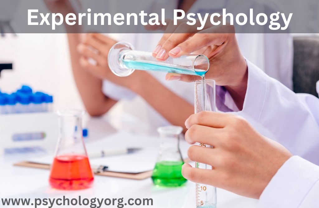 11 Most Influential Psychological Experiments in History
