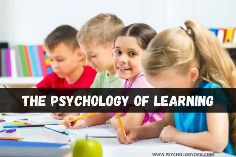 The Psychology of Learning: Theories & Types Explained